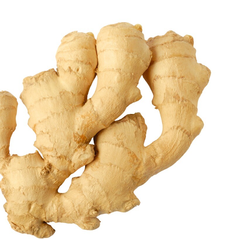 Fresh Dry Ginger