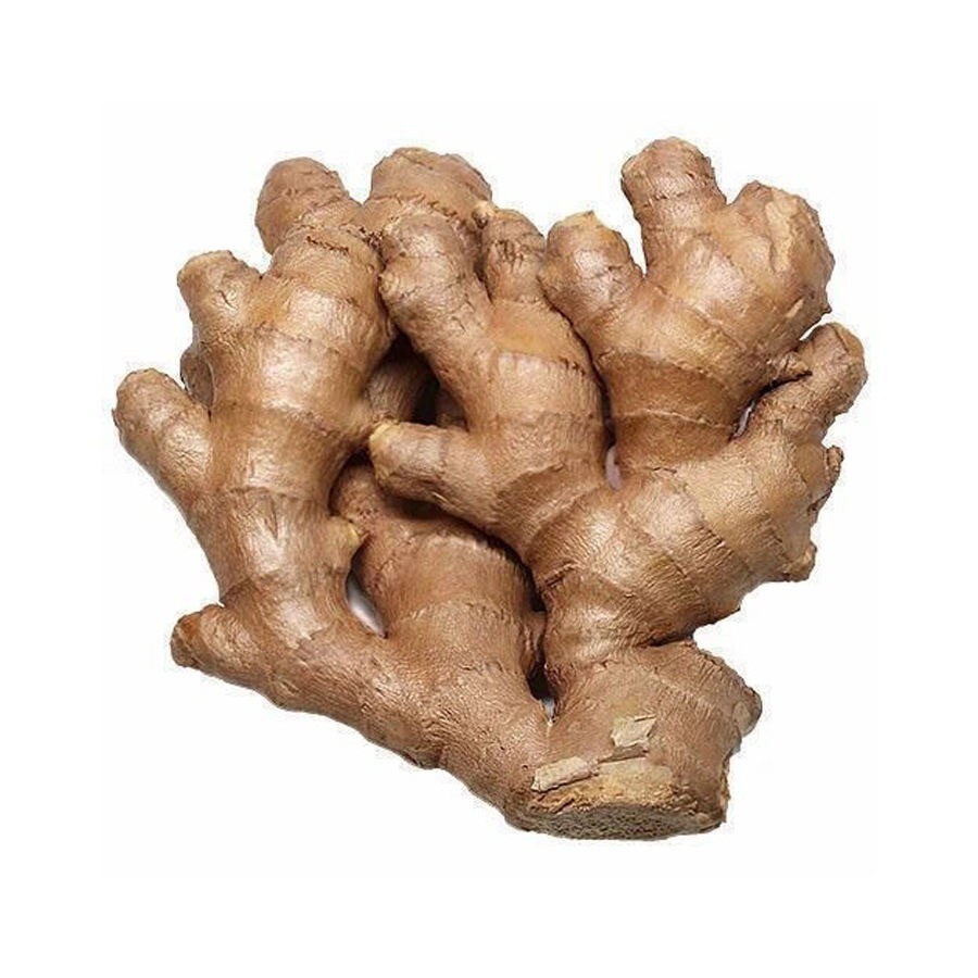 Small Yellow Ginger