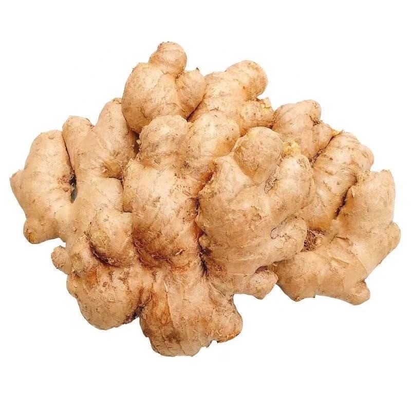 Organic Natural Ginger