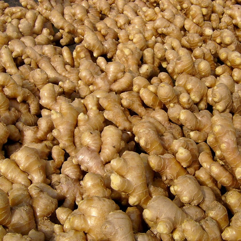 Organic Natural Ginger