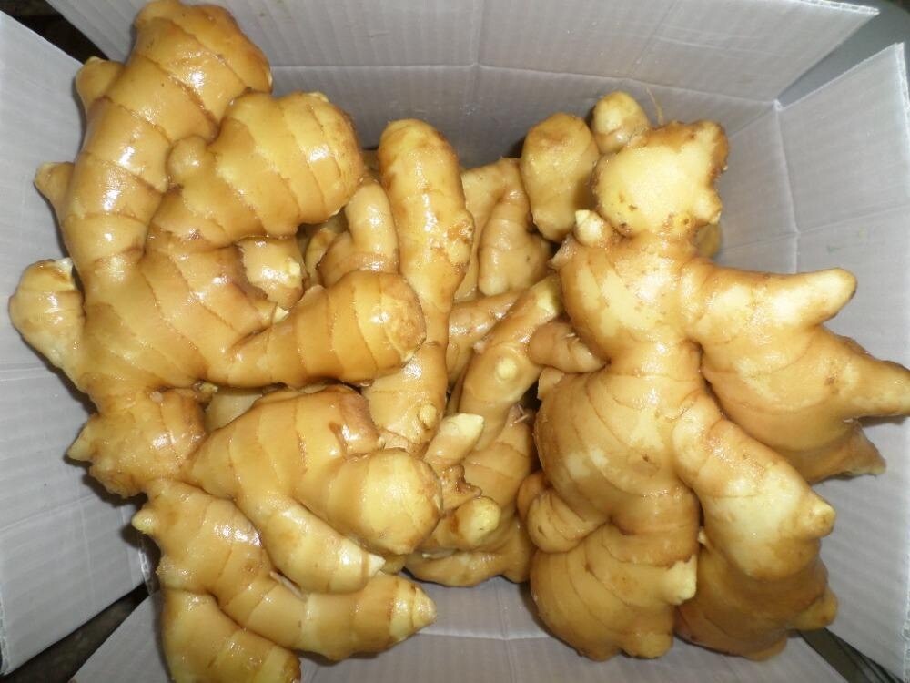 Organic Natural Ginger