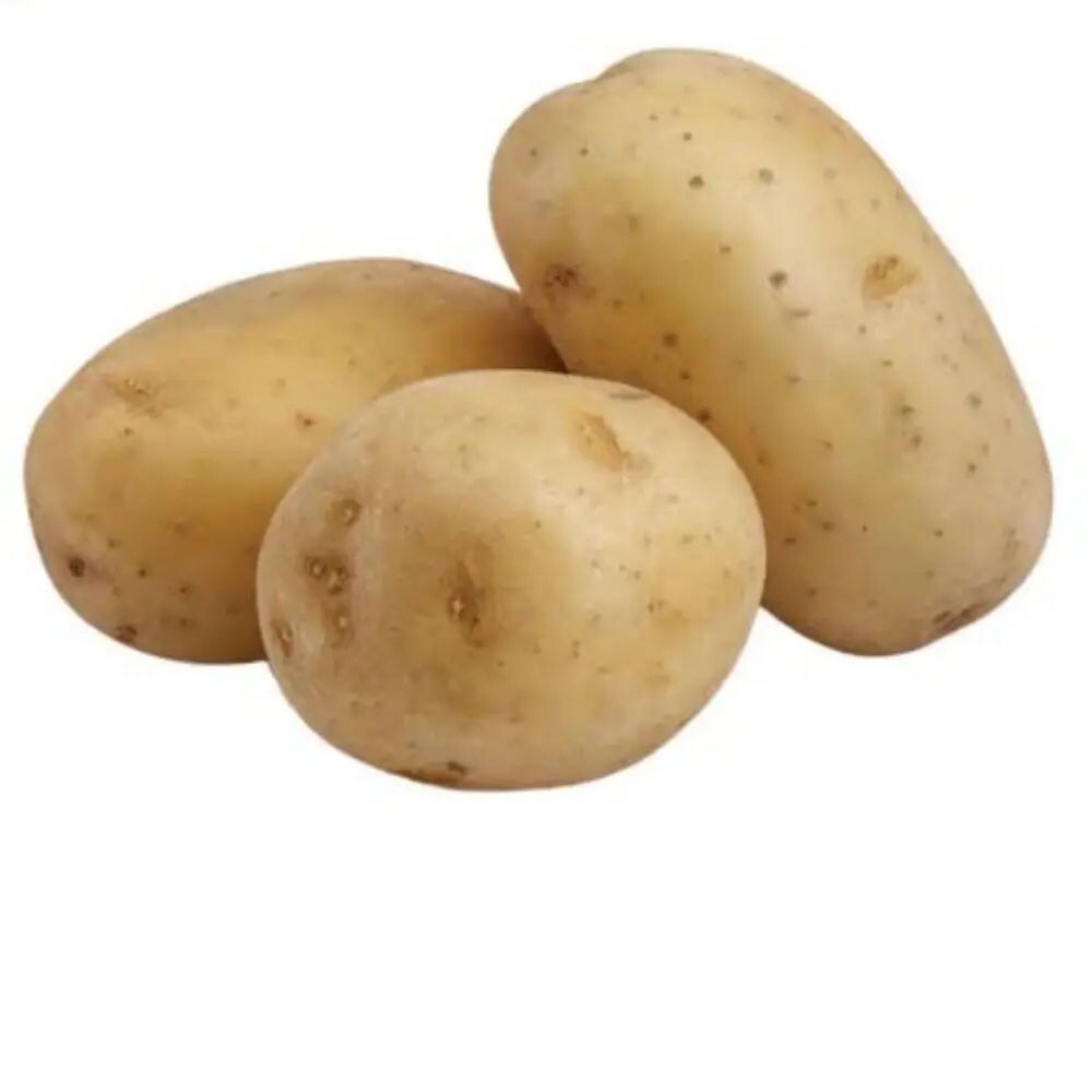 Organic Fresh Potato