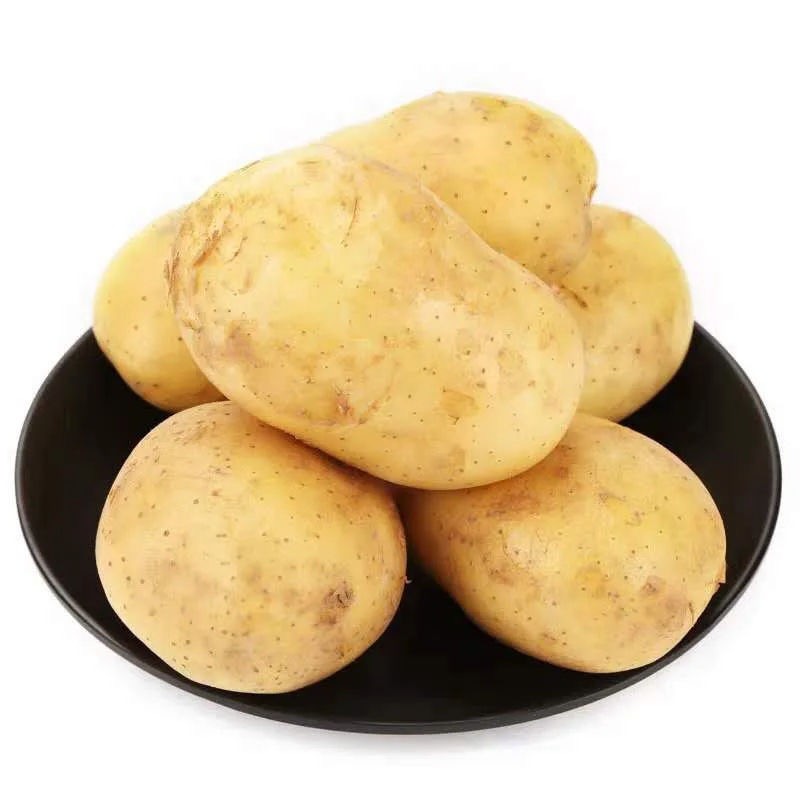 Organic Fresh Potato