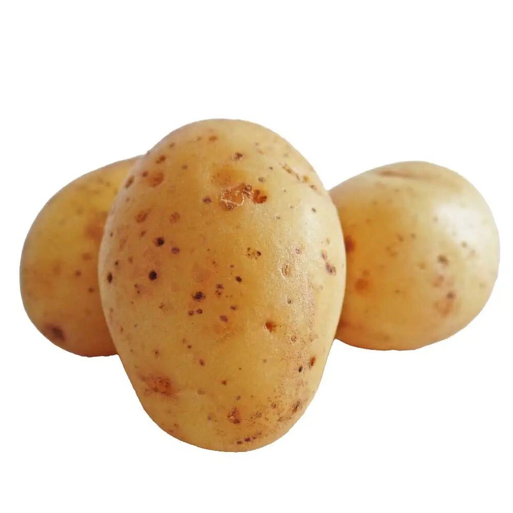 Organic Fresh Potato