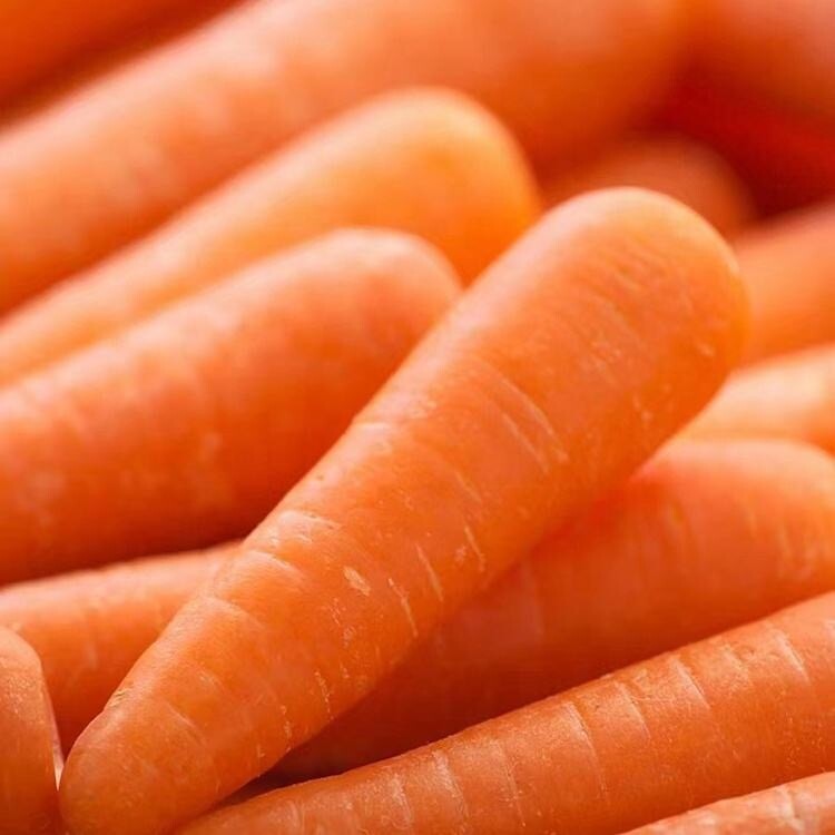 Organic Fresh Carrots