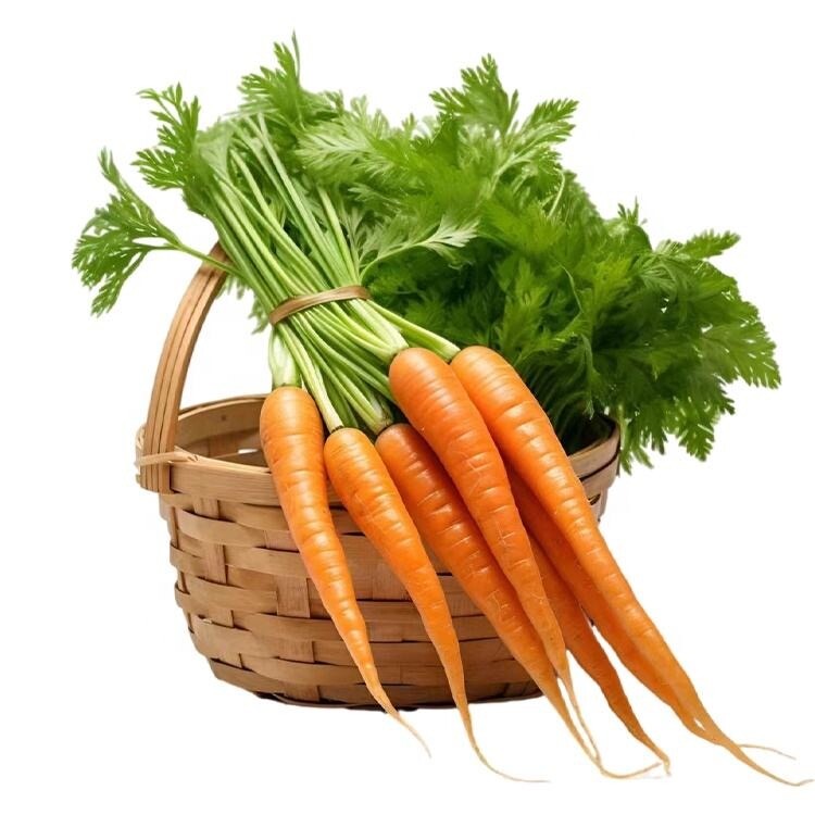Organic Fresh Carrots