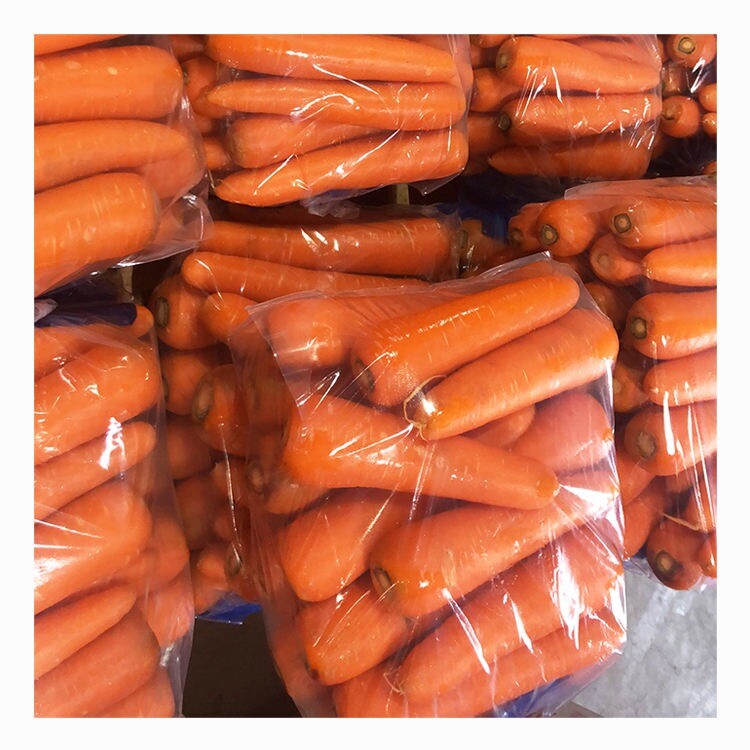 High Quality Organic Fresh Carrots 
