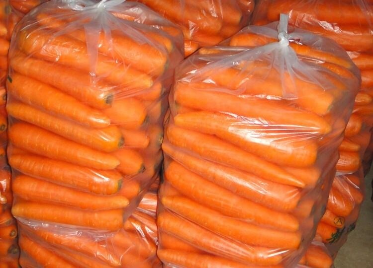 Wholesale Fresh Red Carrot