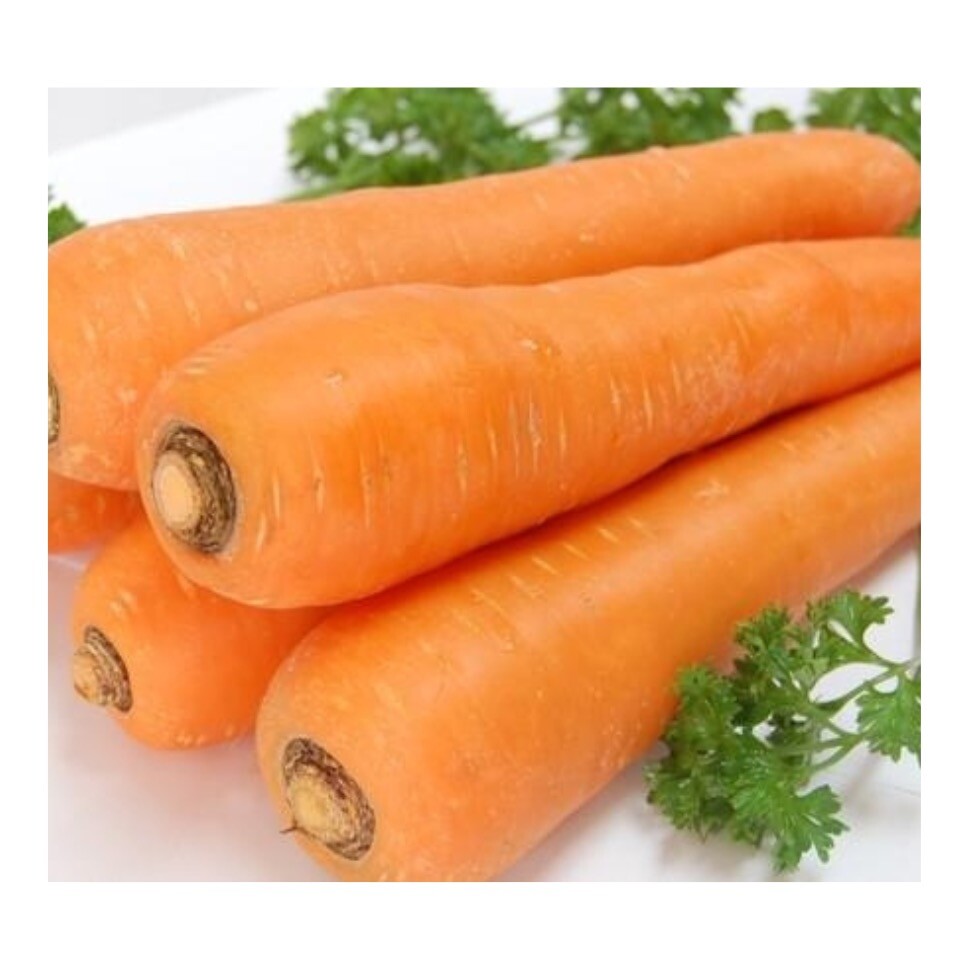 Wholesale Fresh Red Carrot