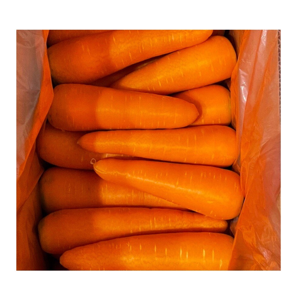 Wholesale Fresh Red Carrot