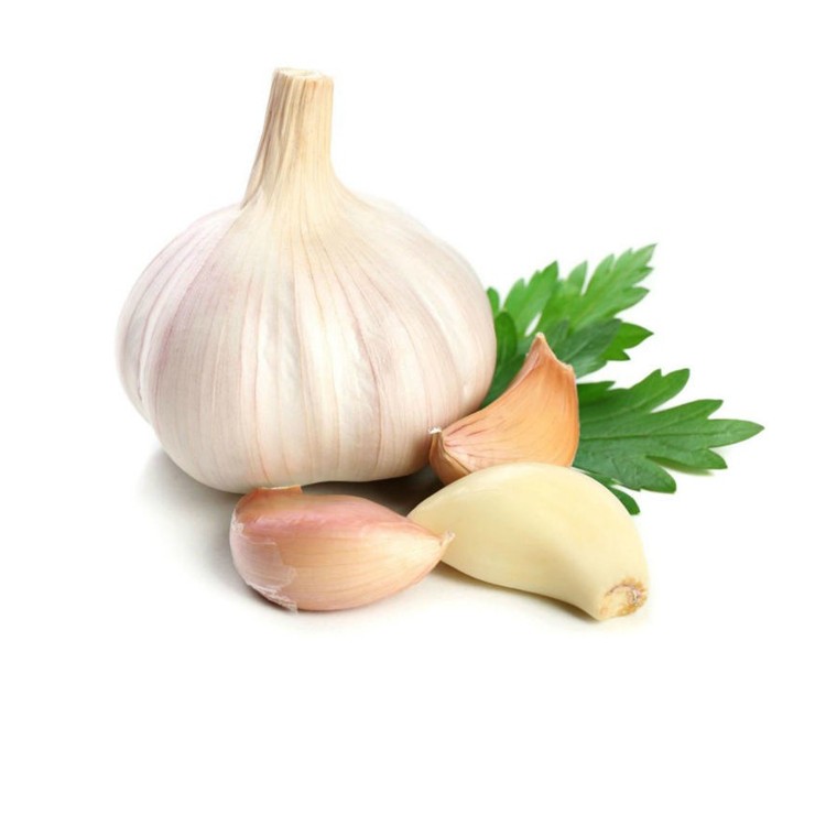Spring-White-Garlic-