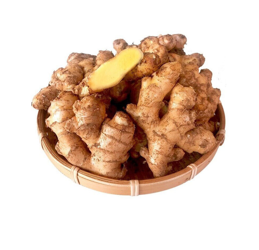 Small-Yellow-Ginger