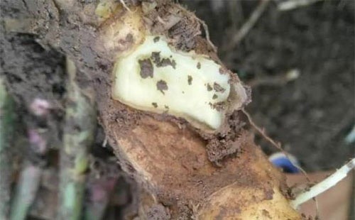 1757502084682 1757502084682