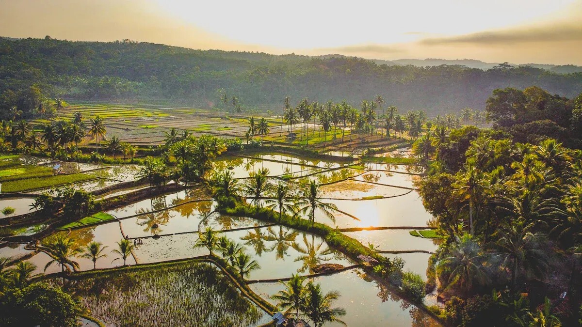 Cómo elegir un variador de frecuencia de ahorro de energía para su sistema de bombeo de agua