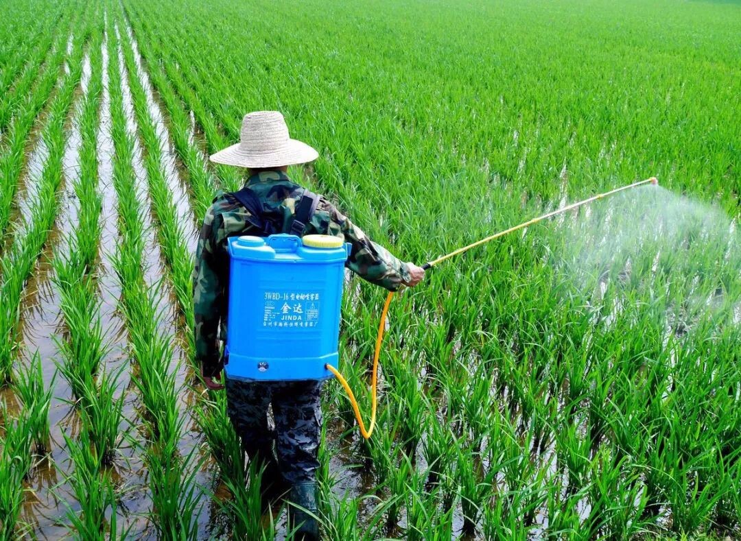  The Role of 304 Stainless Steel Ultrafine Pulverizers in Pesticide Production