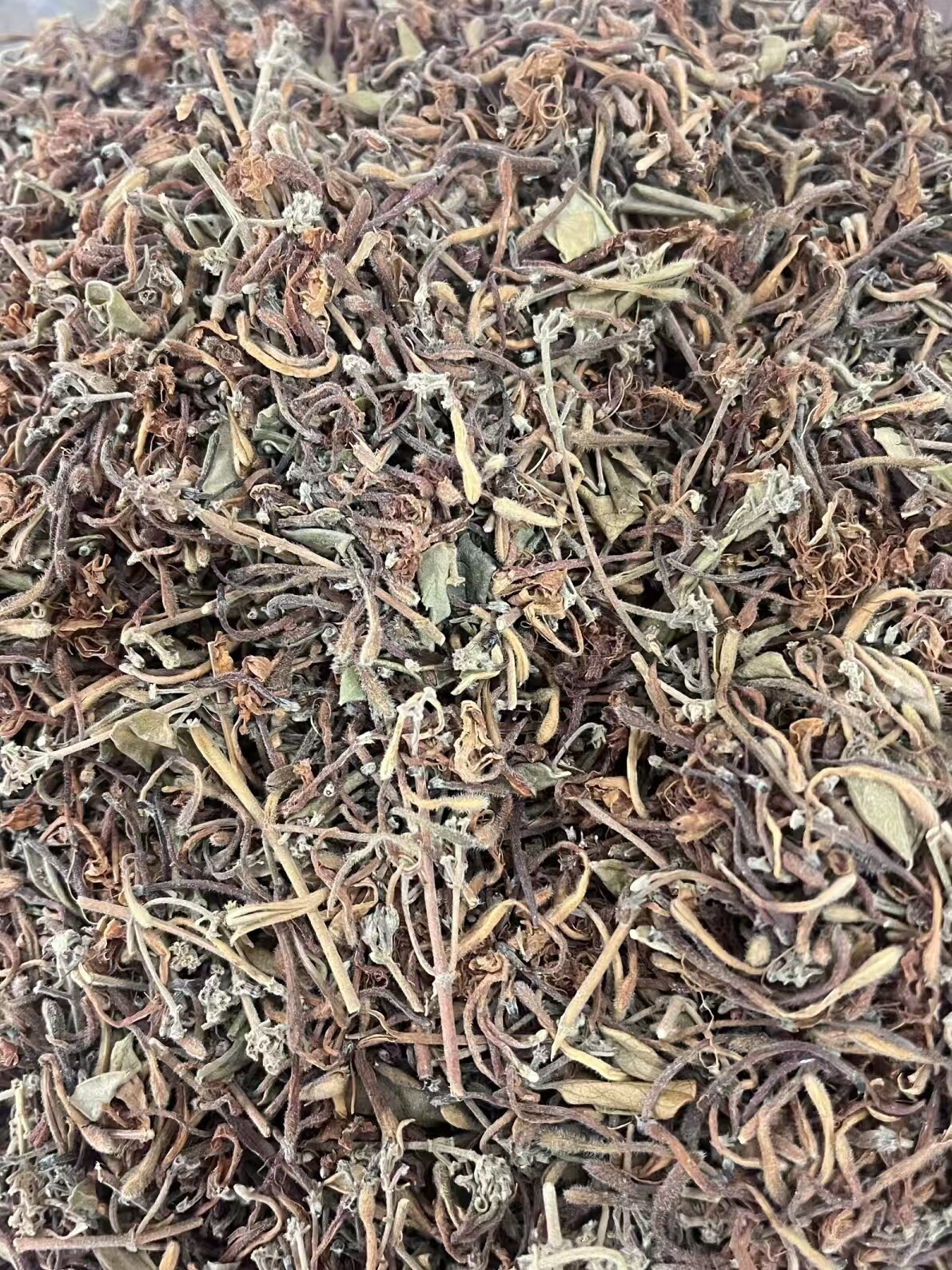 Жимолость Жимолость