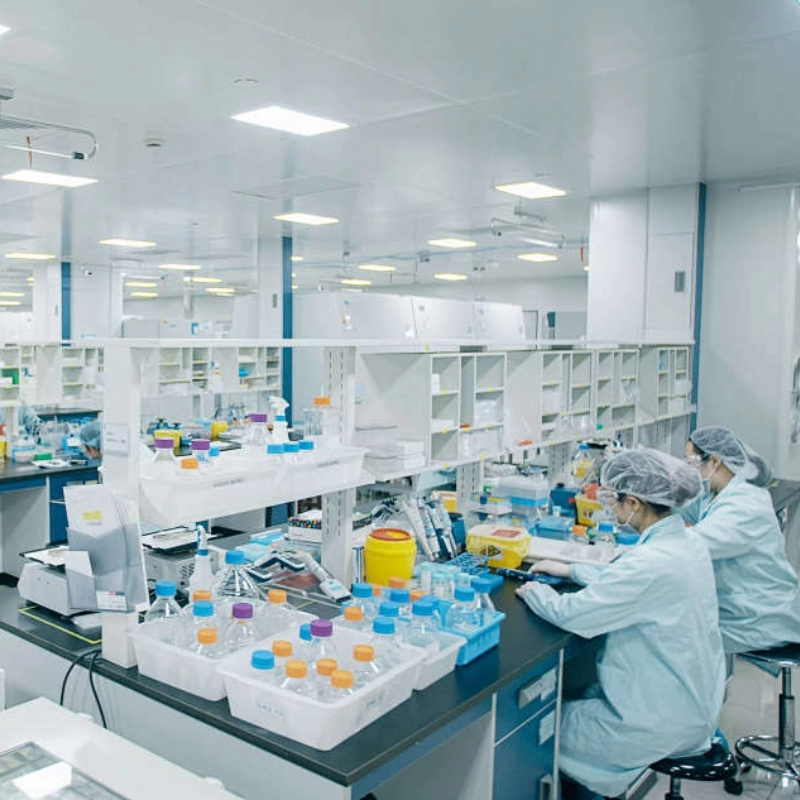 ¿Por qué elegir Saint-Folman para sus necesidades de asociación global?