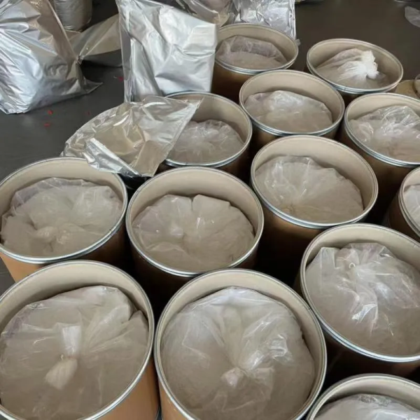 WeChat imagen_20241104095711