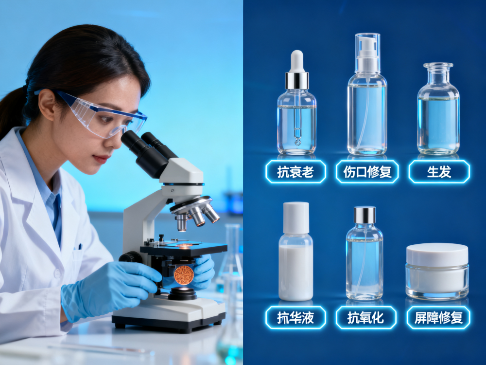 Las 5 principales aplicaciones del péptido de cobre en la cosmética moderna Las 5 principales aplicaciones del péptido de cobre en la cosmética moderna