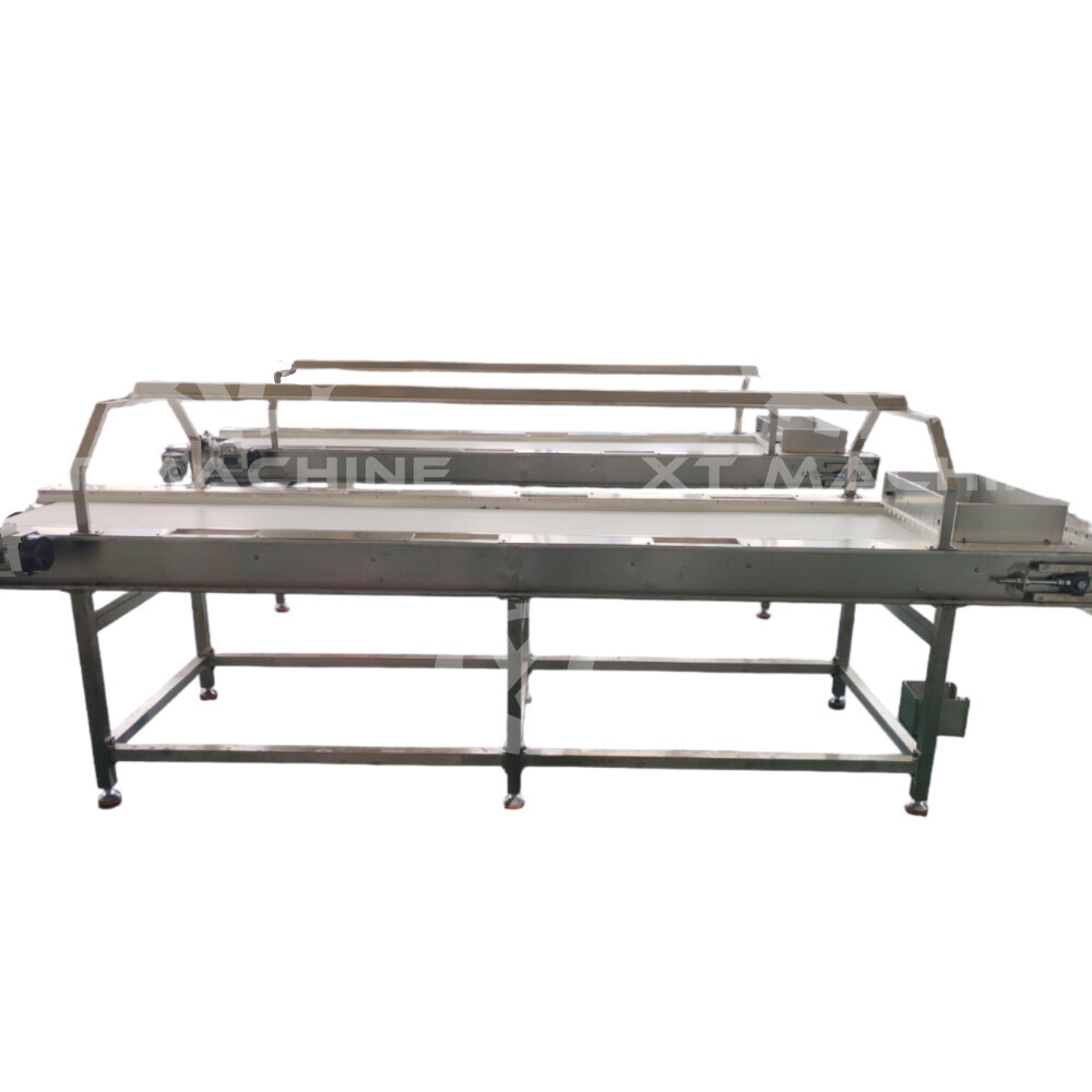 Cinta transportadora