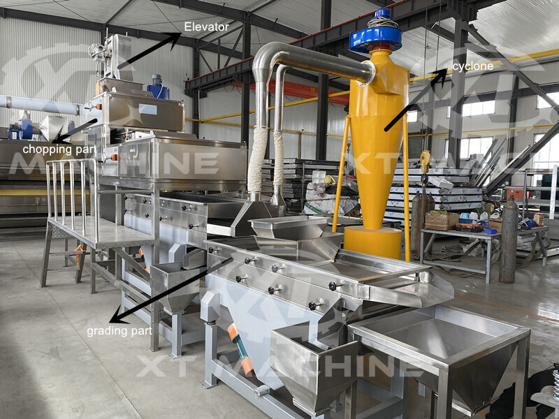 Máquina cortadora de frutos secos