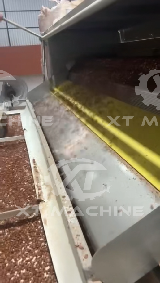 Línea de tostado y blanqueado de cacahuetes por aire 2000-3000kg/h funcionando en Brasil