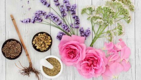 The Origins and Classifications of Fragrance Ingredients From Natural Sources to Synthetic Creations4659