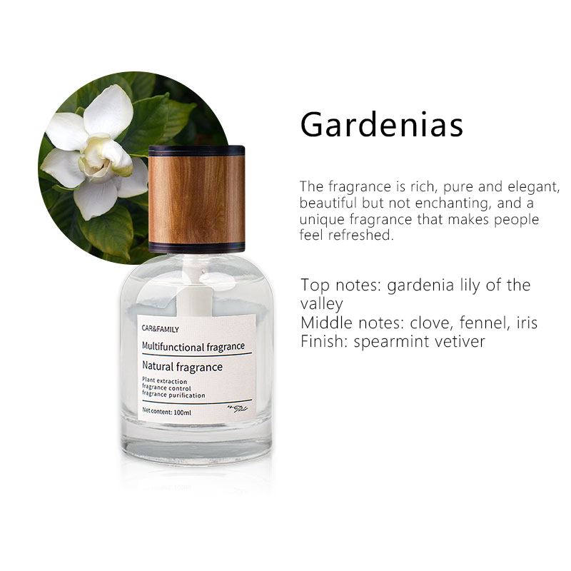 Прозрачное время