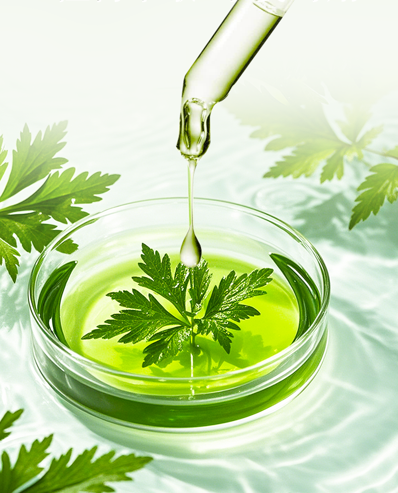 Сертифицированные парфюмерные бренды ISO 9001: Какие преимущества?