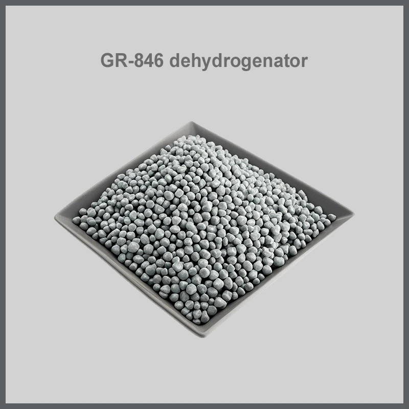 GR-846脱氢装置