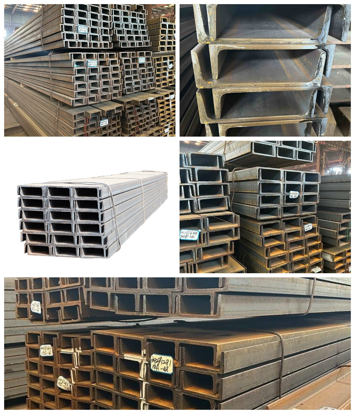 下载 (31).jpg 下载 (31).jpg