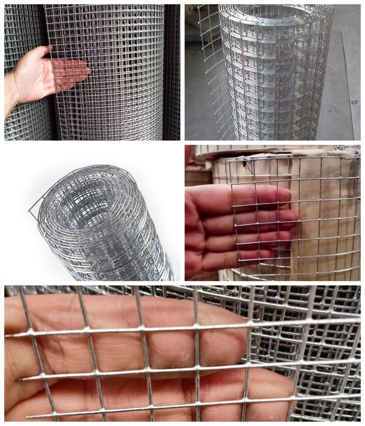 下载 (37).jpg 下载 (37).jpg