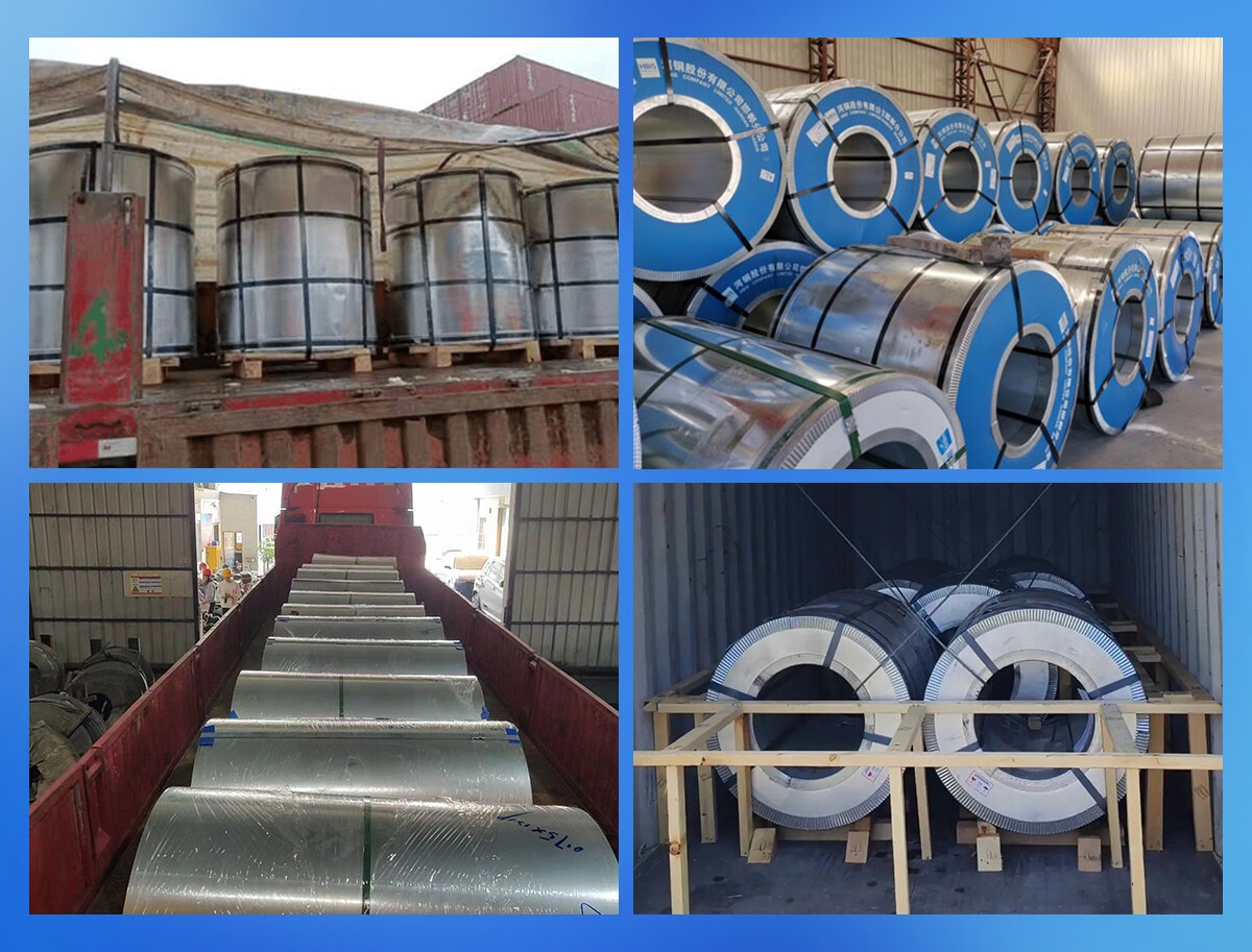 镀锌卷 (8)