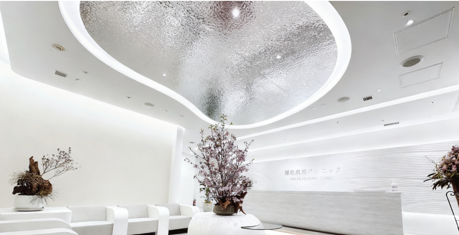 银座凤凰医院再生医疗中心