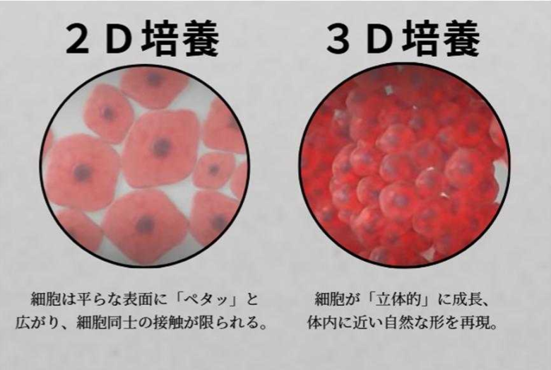 SENSHIN CLINIC（东京未来医疗中心）