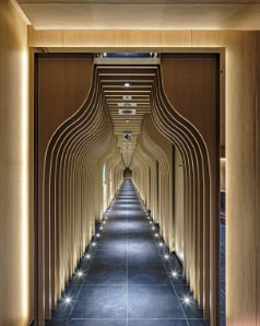 东京瑞莱再生医疗诊所