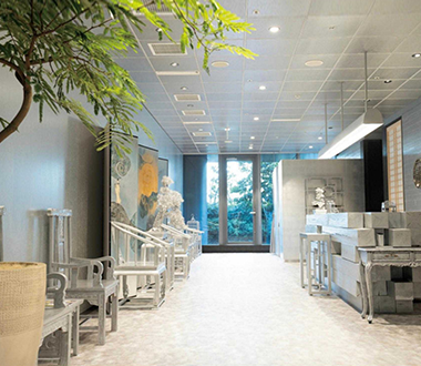 SENSHIN CLINIC（东京未来医疗中心）