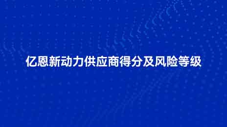 亿恩新动力供应商评分与风险等级