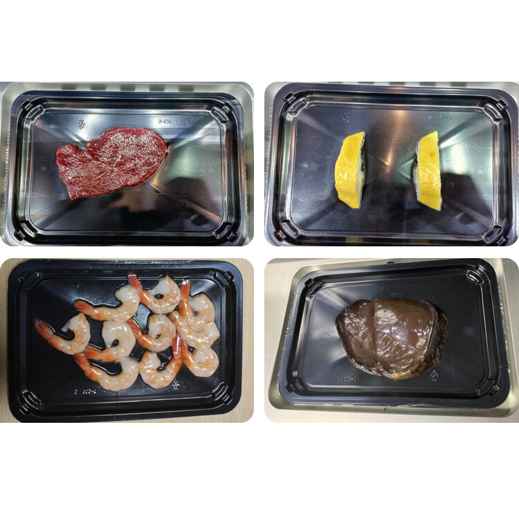 DJT-310VS Vacuum Skin Tray Sealer