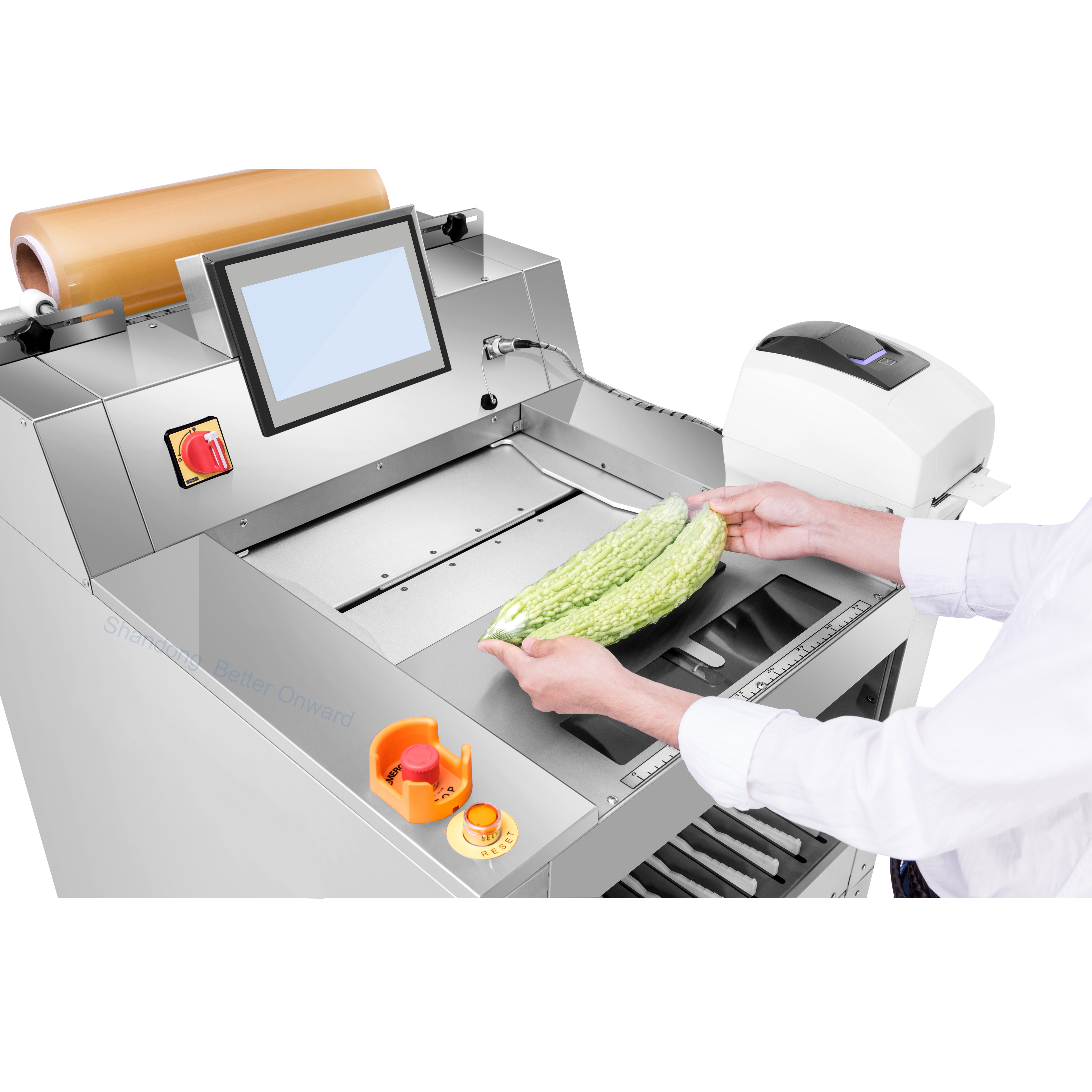 F15B Pro Automatic Vegetables Fruit Tray Packaging Cling Film Wrapping Machine with Weighing and Labels Printing Function