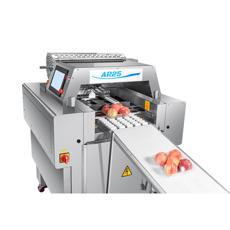 AR25 wrapping machine (3)