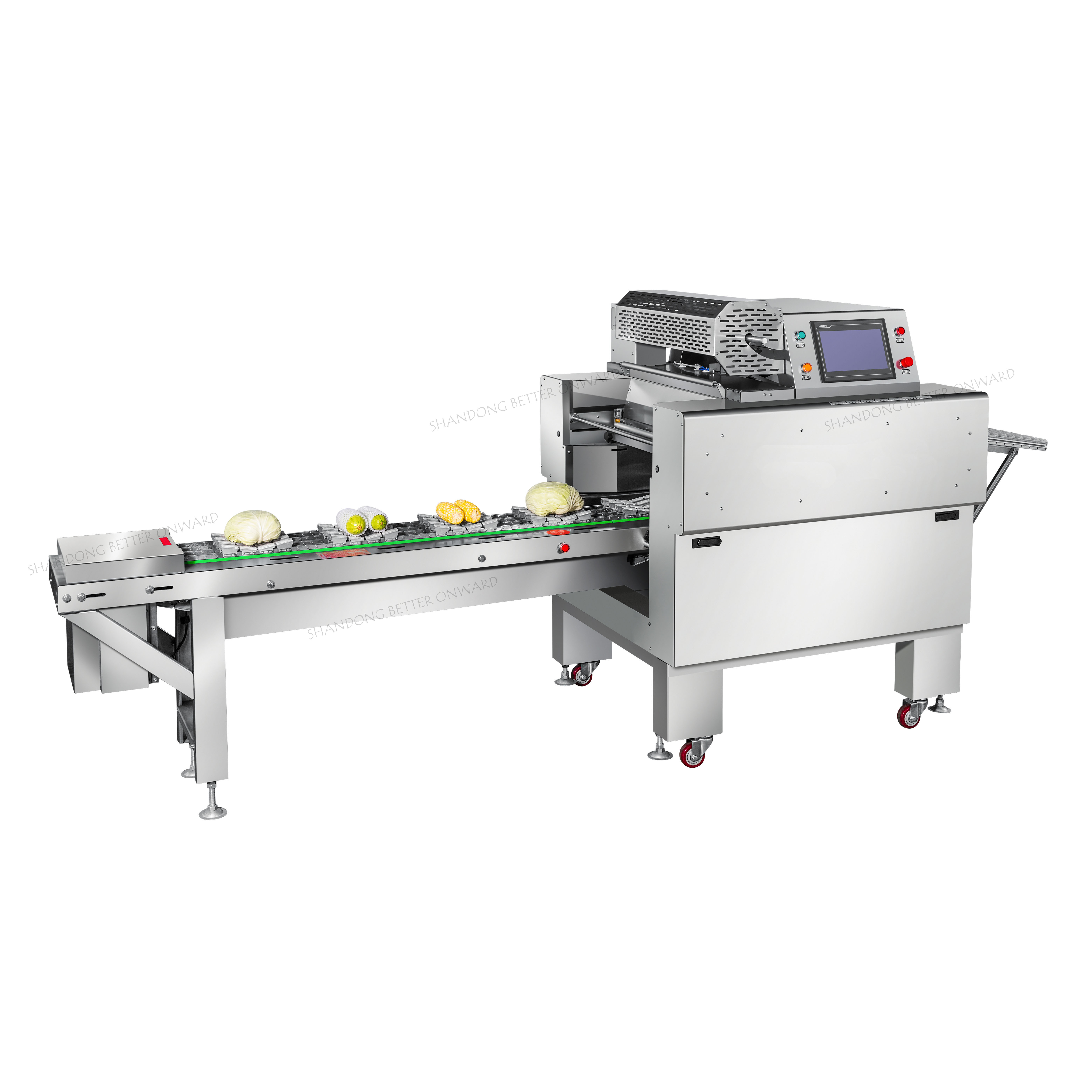 AR25L Continuous Type Fruit Packaging Cling Film Wrapping Machine