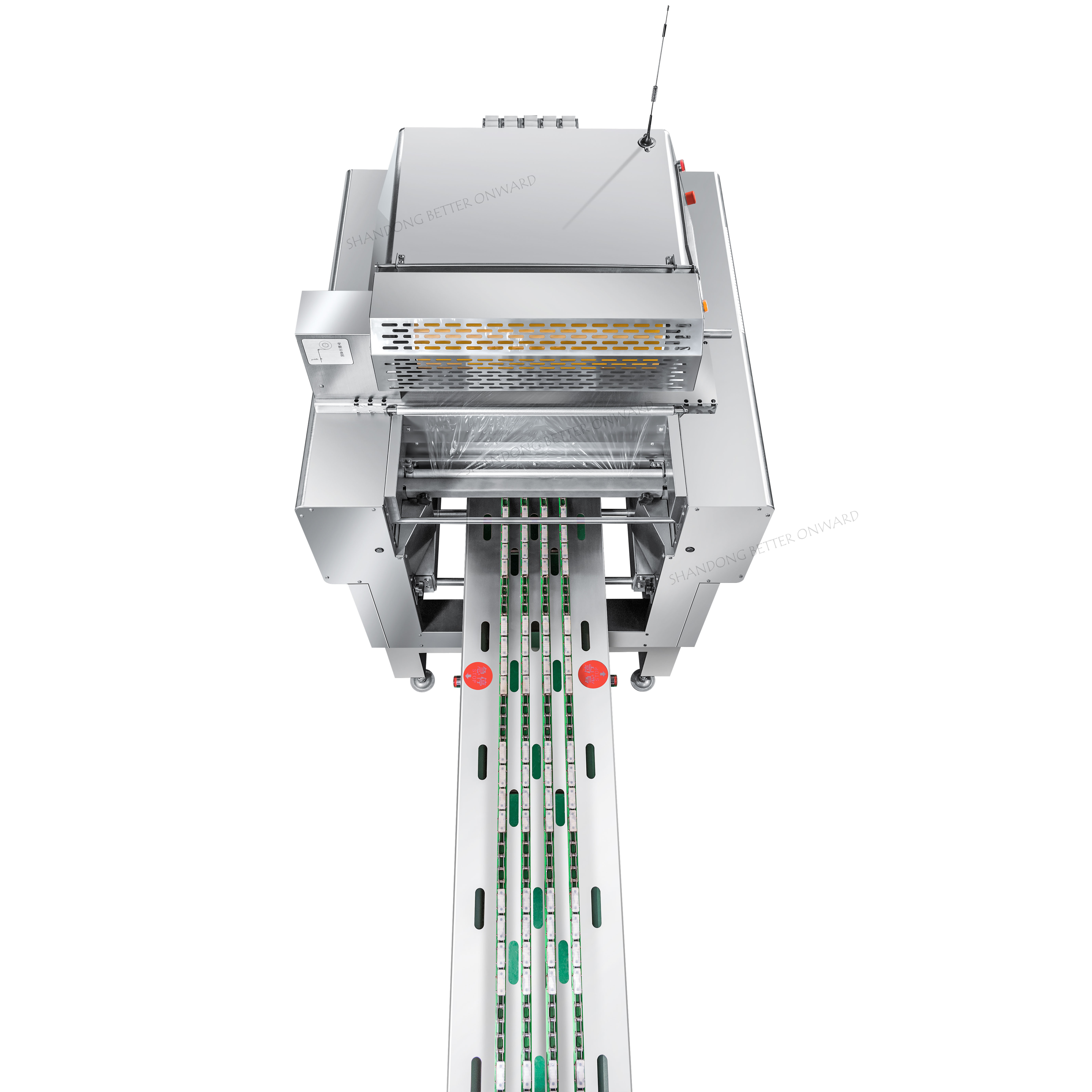 AR25L Continuous Type Fruit Packaging Cling Film Wrapping Machine