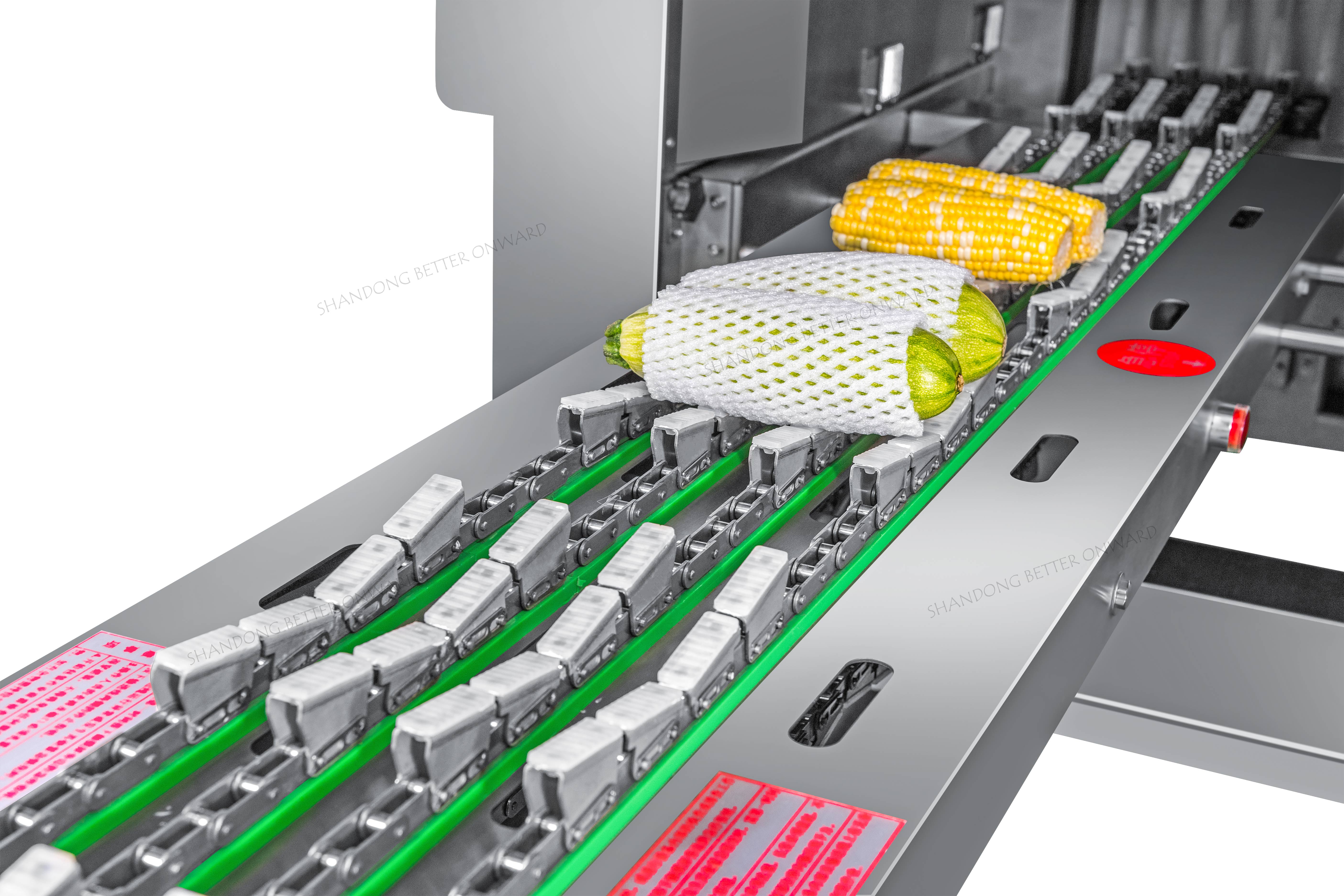 AR25L Continuous Type Fruit Packaging Cling Film Wrapping Machine