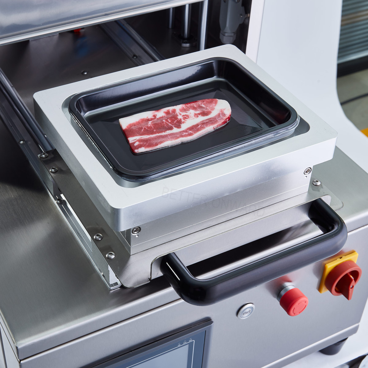 skin pack tray sealer (4)