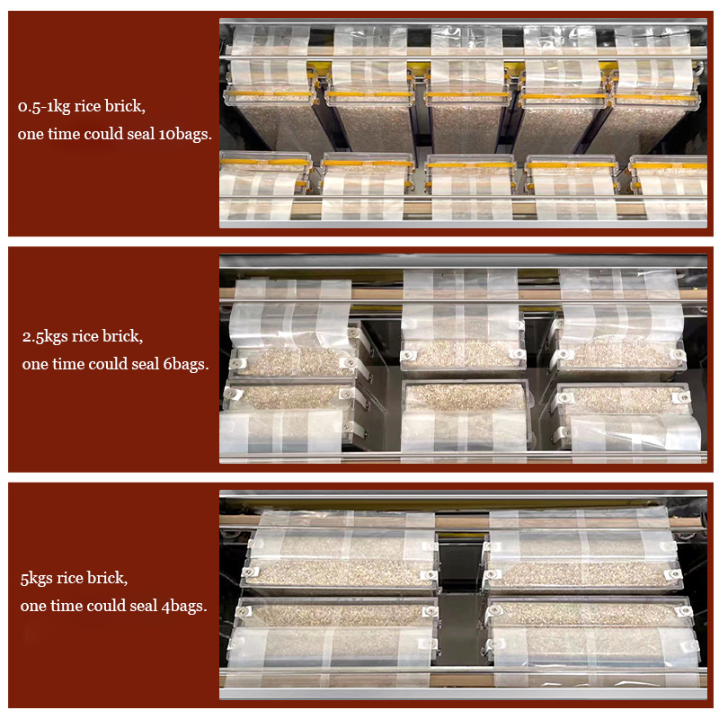 DZ-680 Rice Brick Vacuum Sealing Packaging Machine