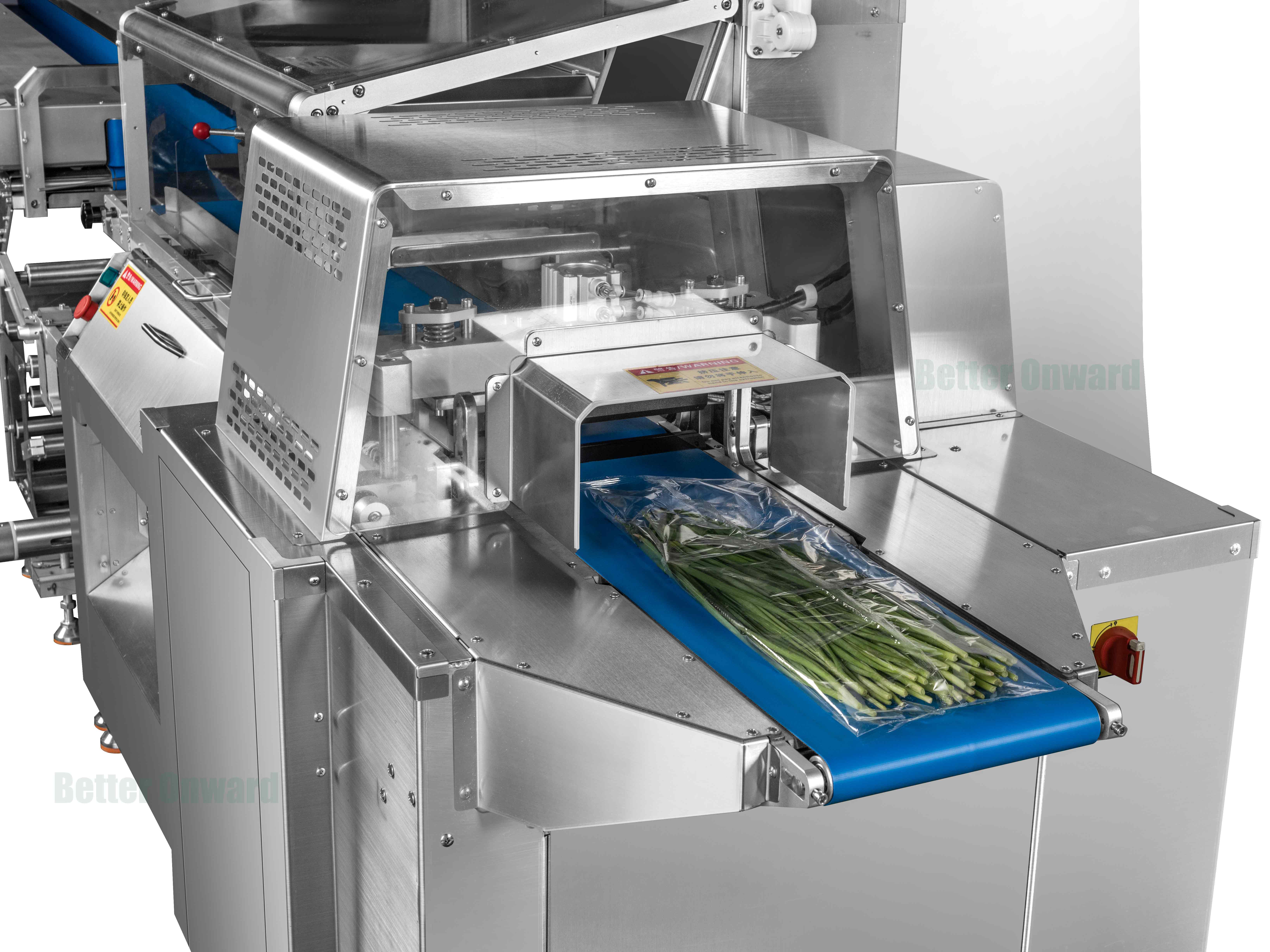 HP-18 Automatic Pillow Type Leafy Vegetables Packing Machine