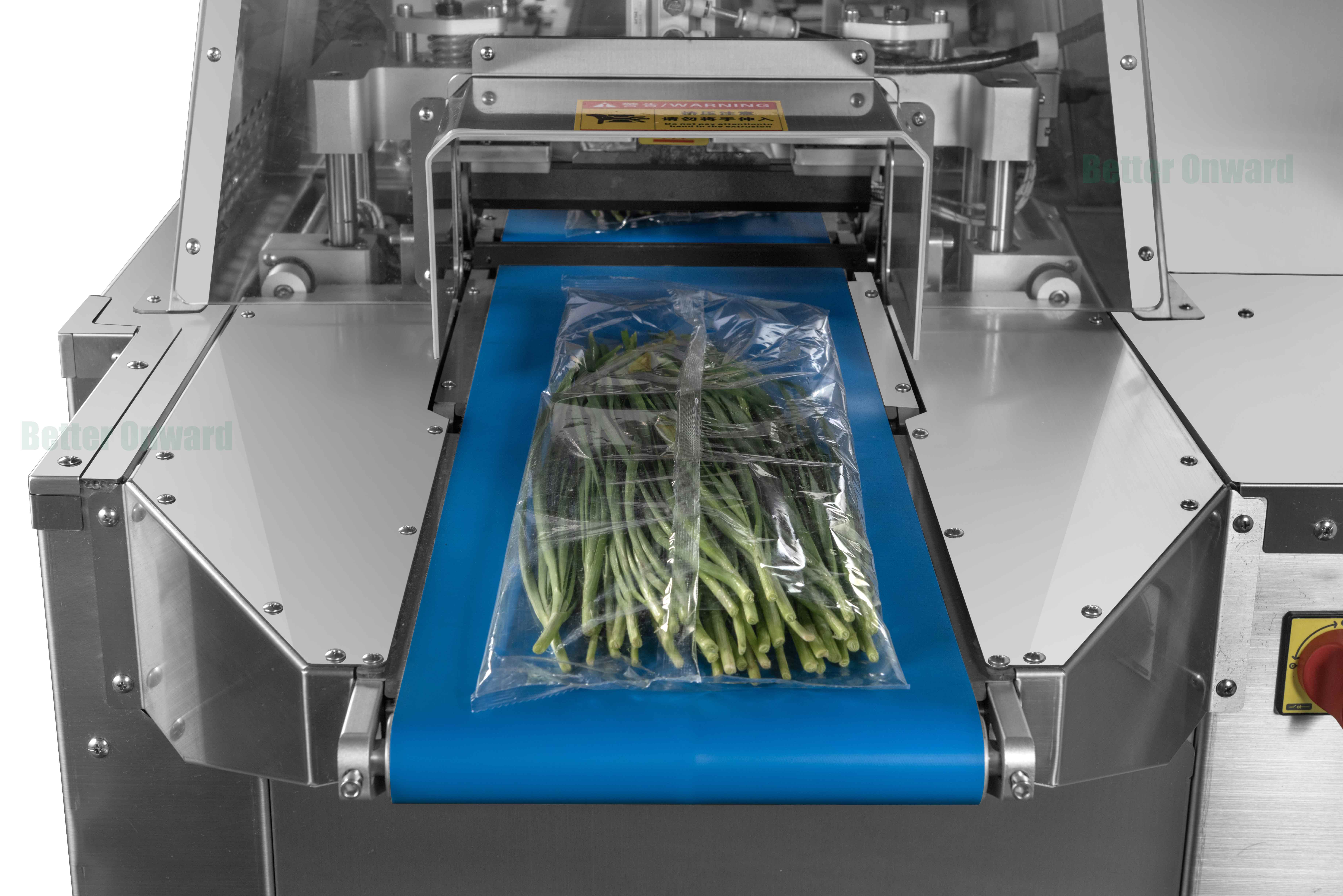 HP-18 Automatic Pillow Type Leafy Vegetables Packing Machine