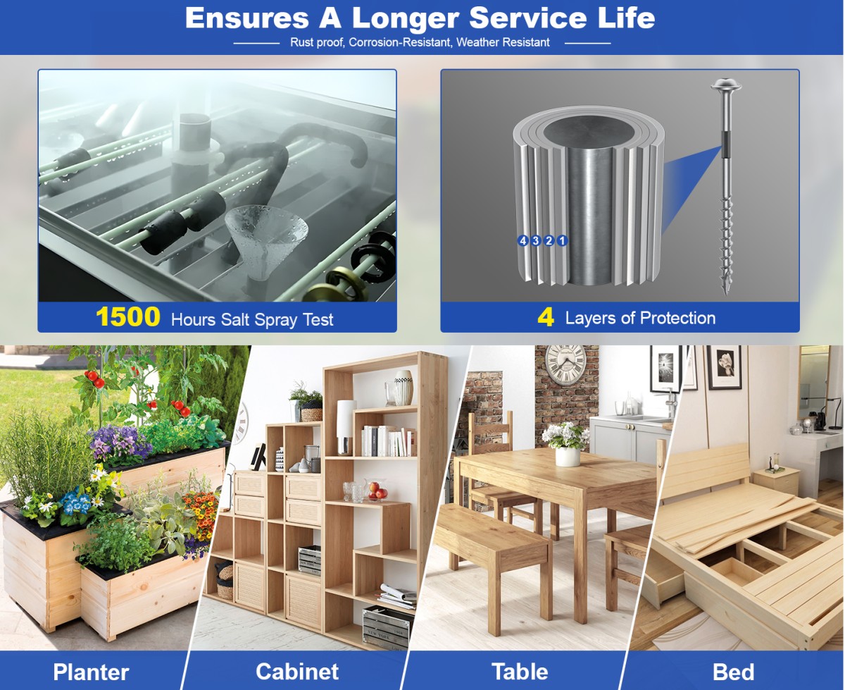 微信图片_2025-09-29_171833_753