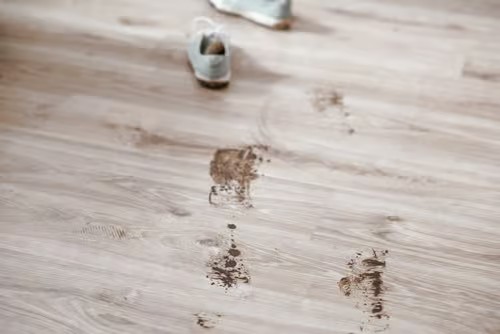 d3003f11af6ddc15665b733904fe5f45 d3003f11af6ddc15665b733904fe5f45